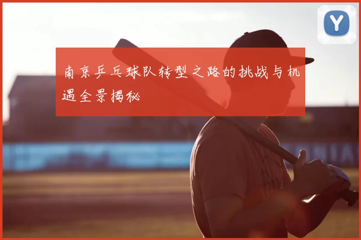 南京乒乓球队转型之路的挑战与机遇全景揭秘