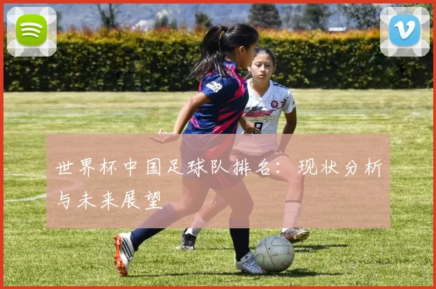 世界杯中国足球队排名:现状分析与未来展望