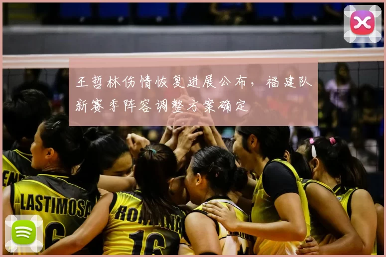 王哲林伤情恢复进展公布，福建队新赛季阵容调整方案确定