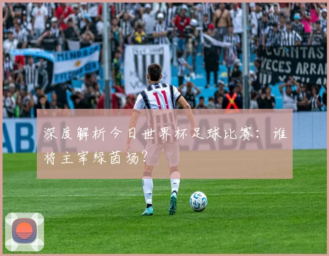 深度解析今日世界杯足球比赛：谁将主宰绿茵场？