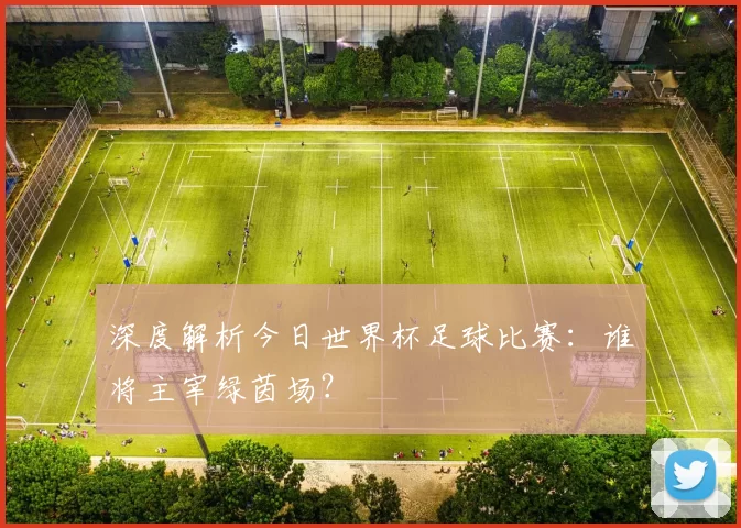 深度解析今日世界杯足球比赛：谁将主宰绿茵场？