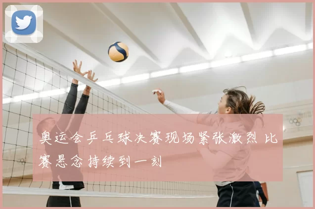 奥运会乒乓球决赛现场紧张激烈 比赛悬念持续到一刻