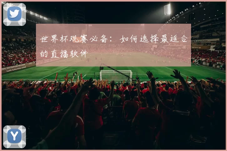 世界杯观赛必备:如何选择最适合的直播软件