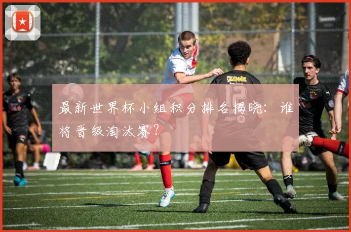 最新世界杯小组积分排名揭晓：谁将晋级淘汰赛？