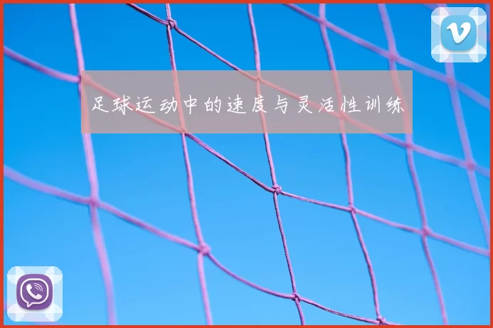 足球运动中的速度与灵活性训练