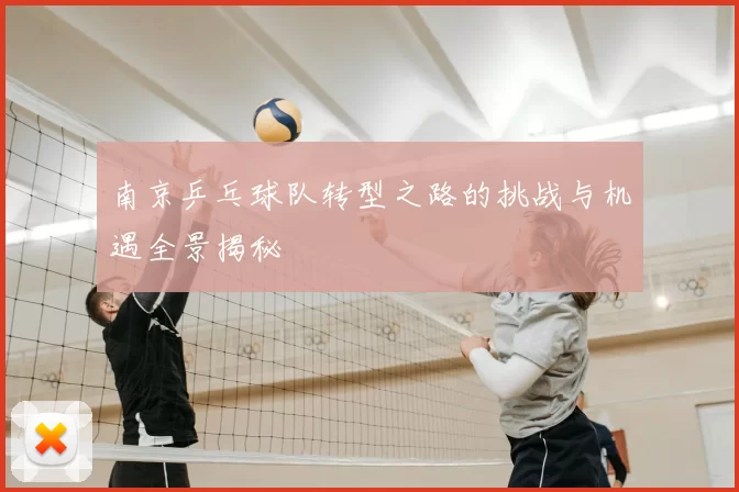 南京乒乓球队转型之路的挑战与机遇全景揭秘