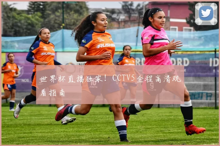 世界杯直播独家！CCTV5全程高清观看指南