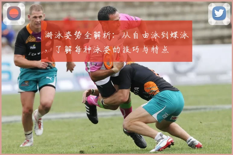 游泳姿势全解析：从自由泳到蝶泳，了解每种泳姿的技巧与特点