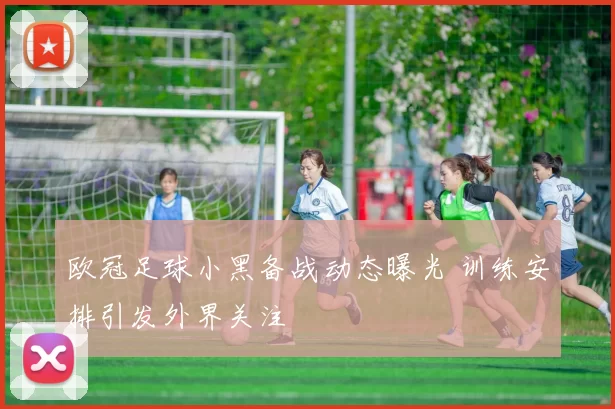 欧冠足球小黑备战动态曝光 训练安排引发外界关注