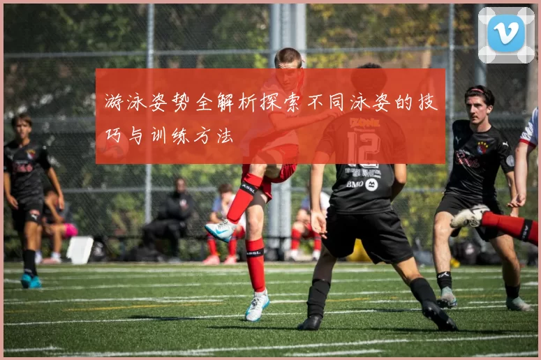游泳姿势全解析探索不同泳姿的技巧与训练方法