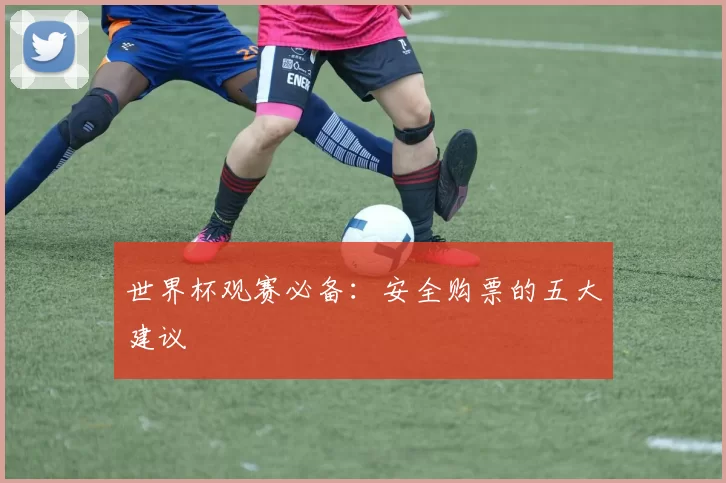 世界杯观赛必备：安全购票的五大建议